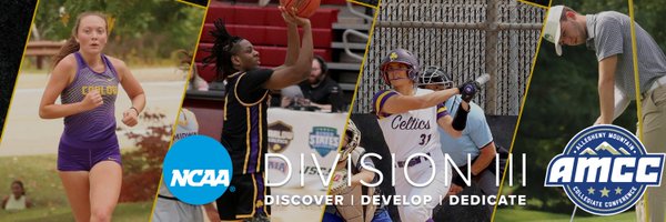 CarlowCeltics Profile Banner