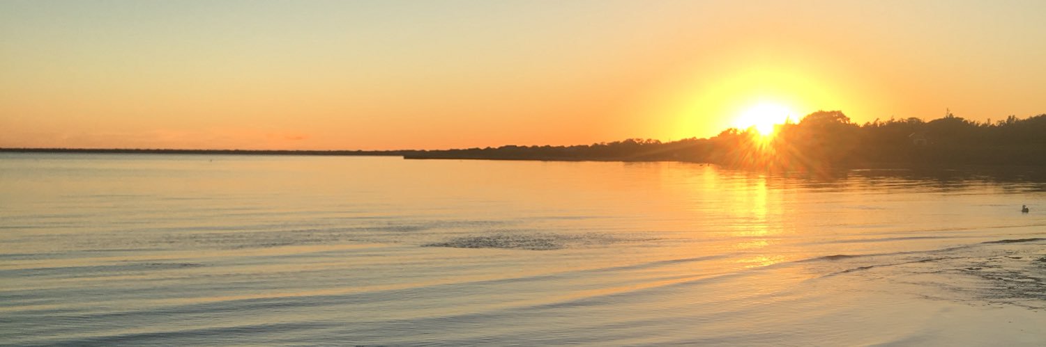 laurahaverty3's profile banner image