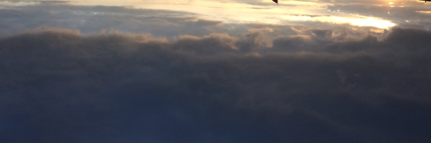 MMelolontha's profile banner image