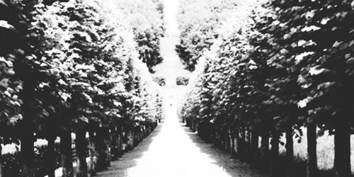 dilanphogdr's profile banner image