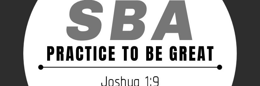 Sansone Baseball Academy banner