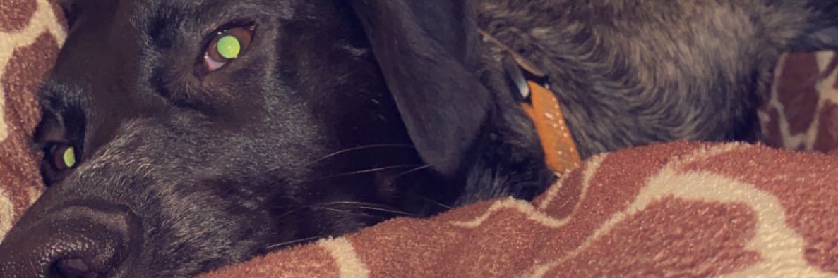 MissRileyAnn's profile banner image