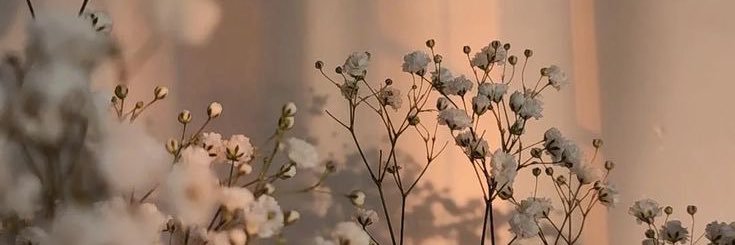 kateee_13's profile banner image