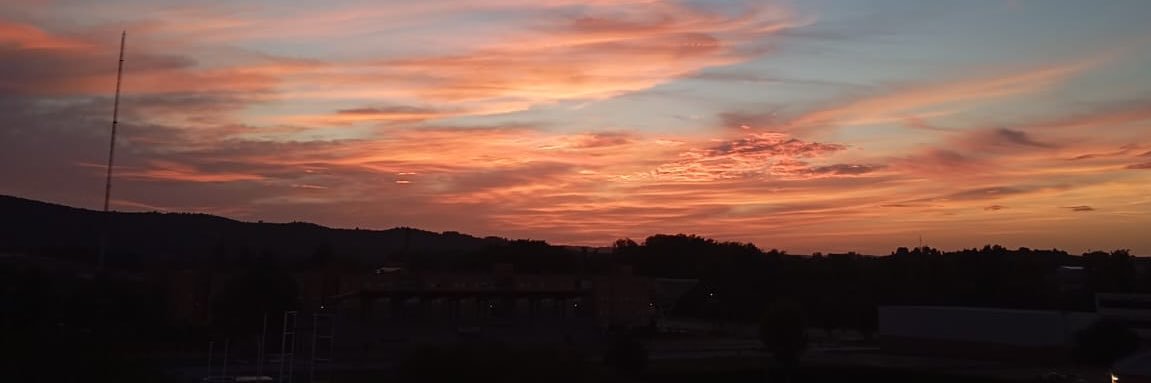 Dani 🤍🦇🧠 banner