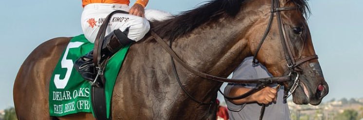 jefefurmanski's profile banner image