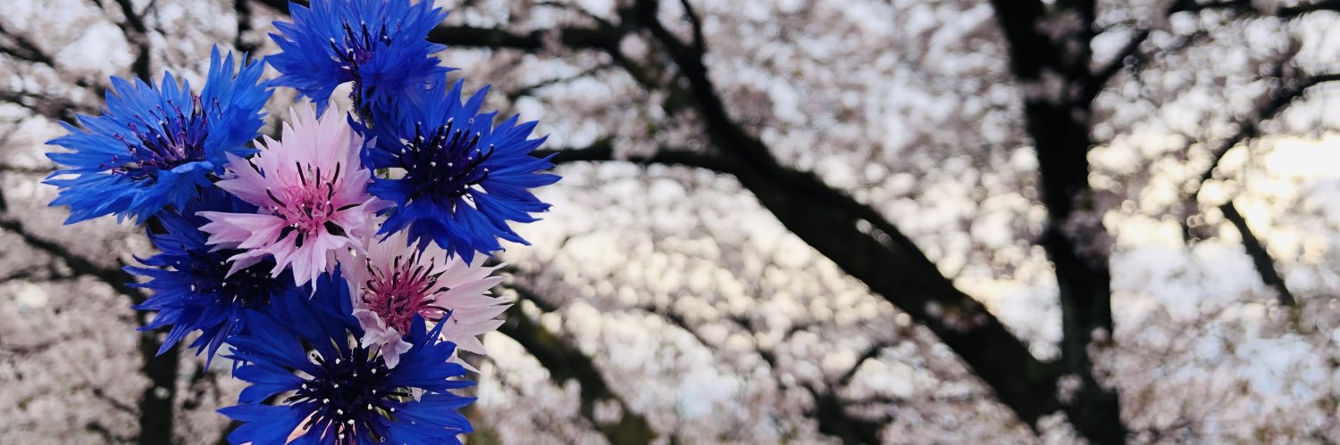 sakierunrun's profile banner image