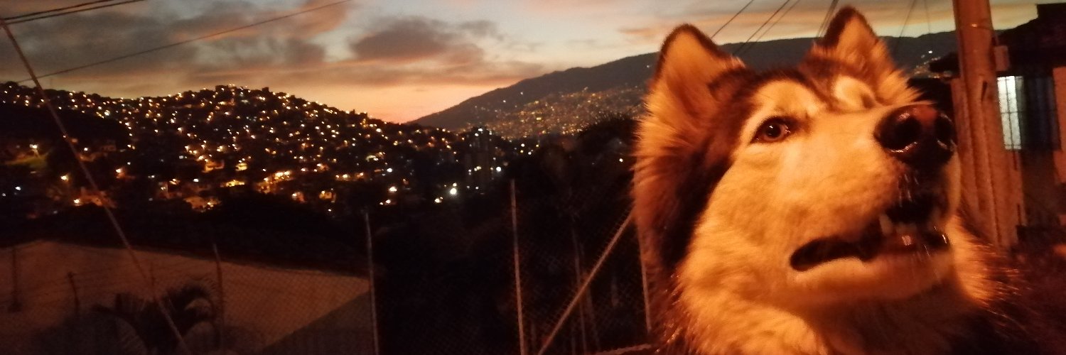 Juandaloro's profile banner image