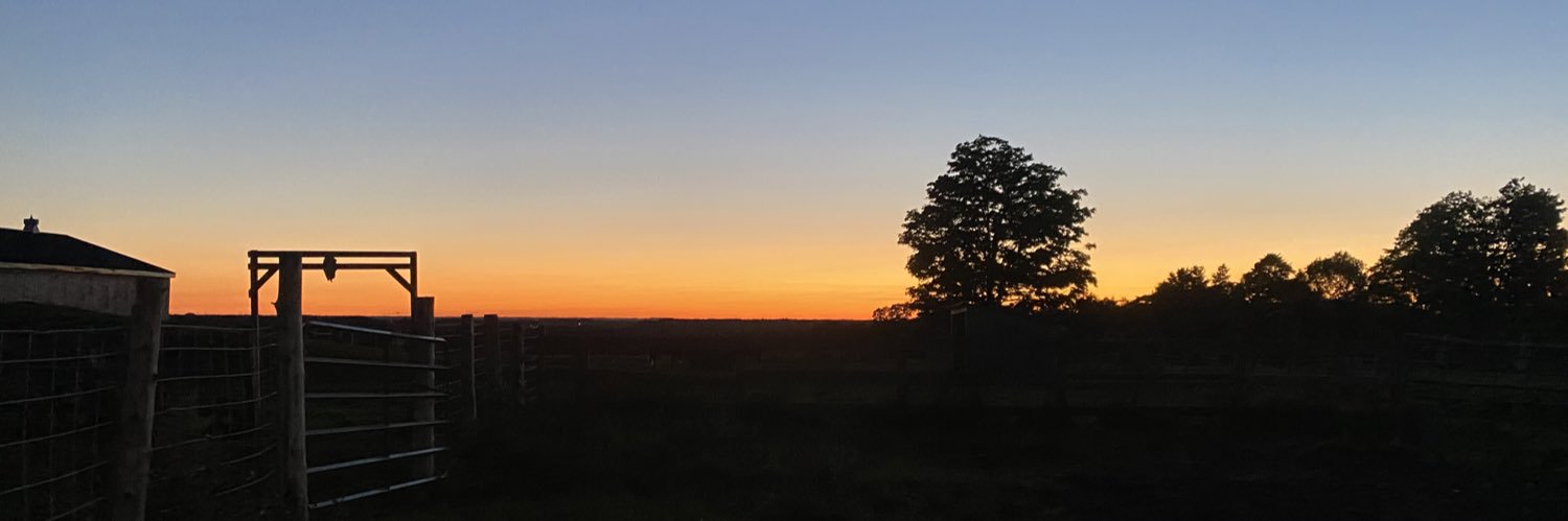 schenkk19's profile banner image