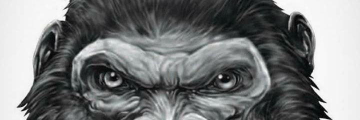 Gbybirth's profile banner image