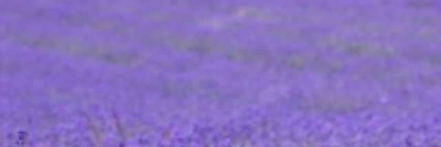 Mamina2003's profile banner image