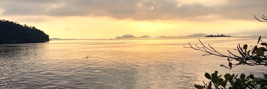 matheuslubert's profile banner image