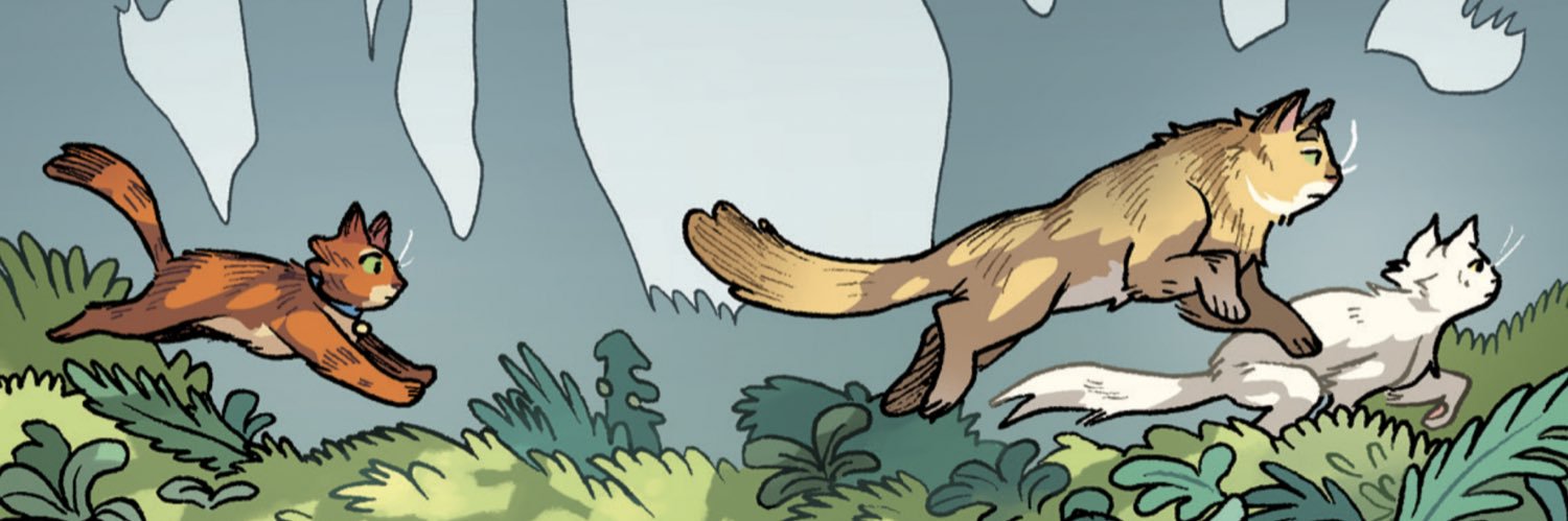 skipscars's profile banner image