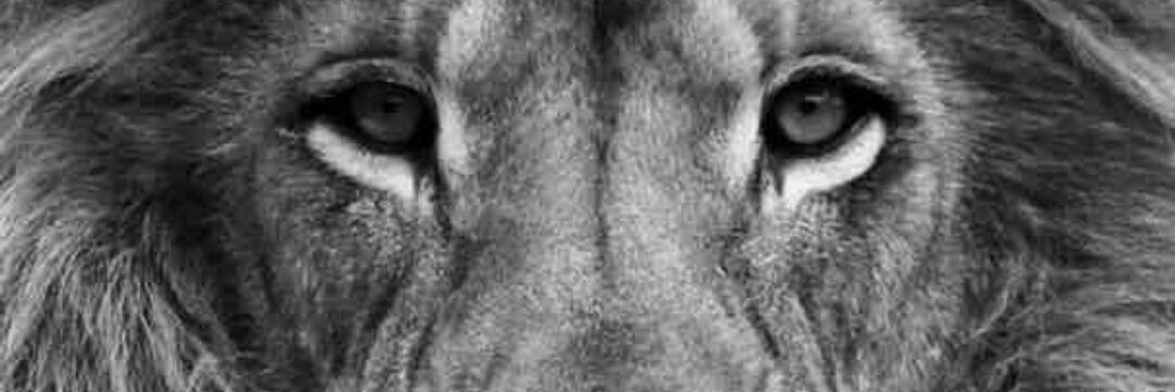 Champ_denzel's profile banner image