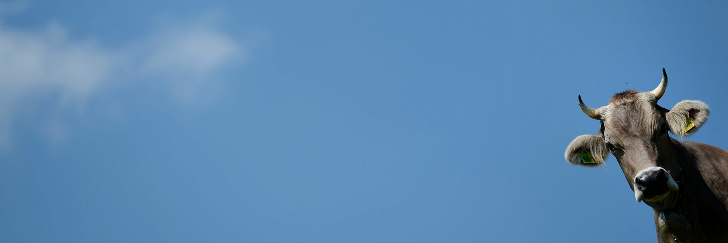 Lance Gharavi banner