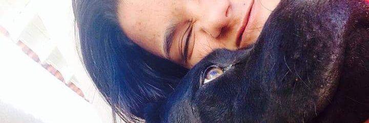 fer_sgregorio's profile banner image