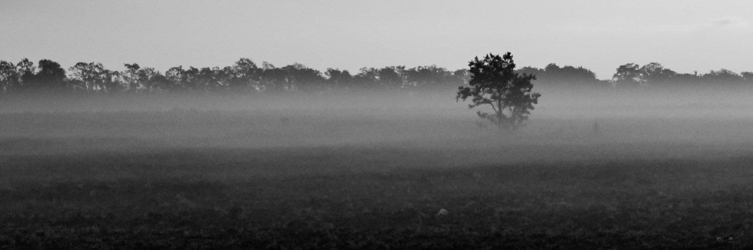 PerrinStudios1's profile banner image