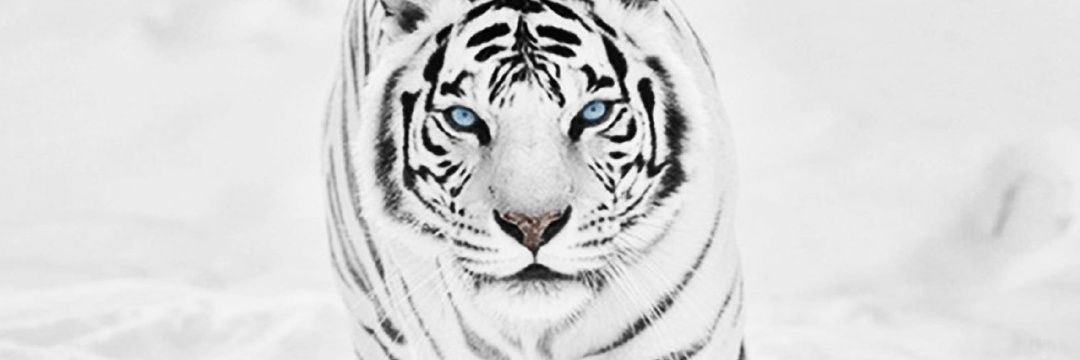 Dufar37D's profile banner image