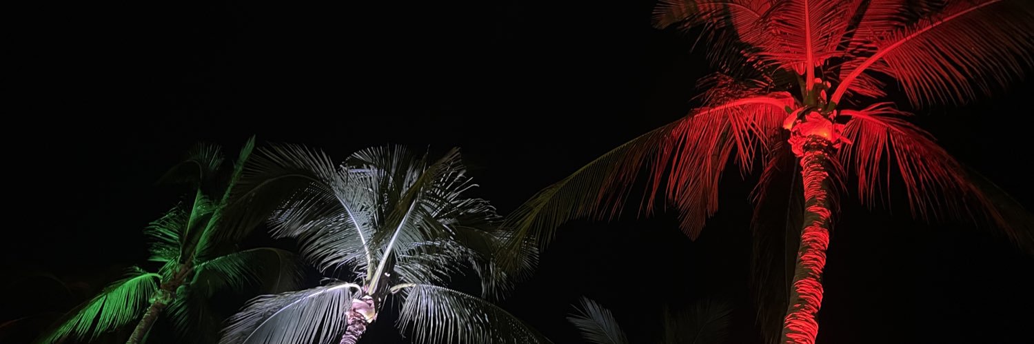 starrdust4eva's profile banner image