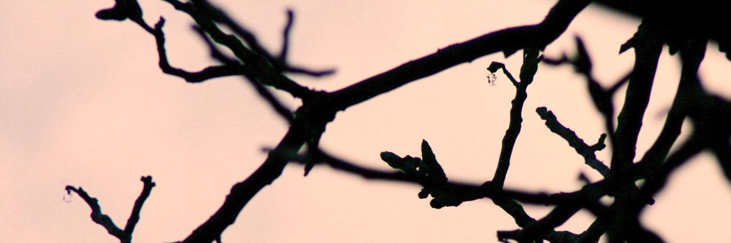 frausatmen's profile banner image