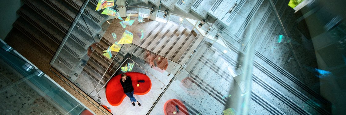 Rachel Dunifon banner