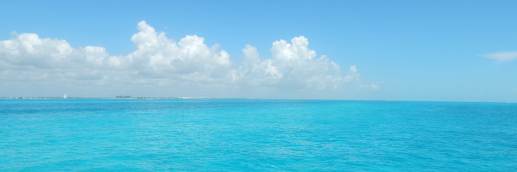 borkezon's profile banner image