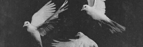 mmtk050's profile banner image