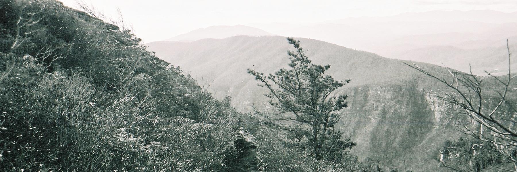 rho324's profile banner image