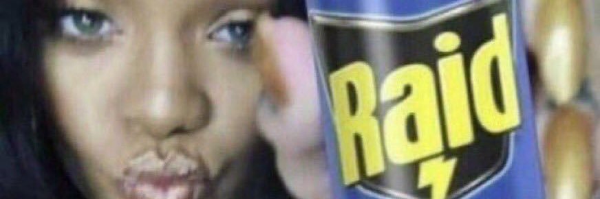 Michelle Obama MD banner