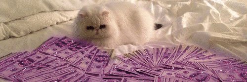 adriannaj_'s profile banner image