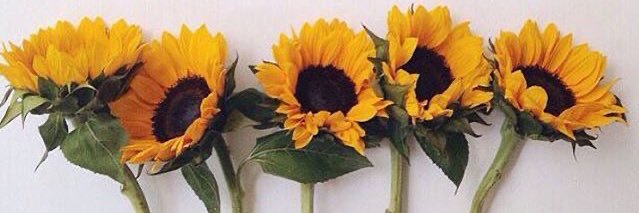 allison_mady's profile banner image
