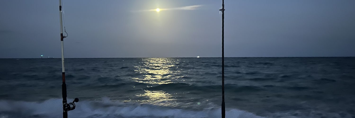 Netskinette's profile banner image