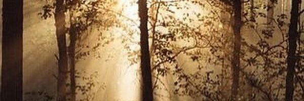 XolahV's profile banner image