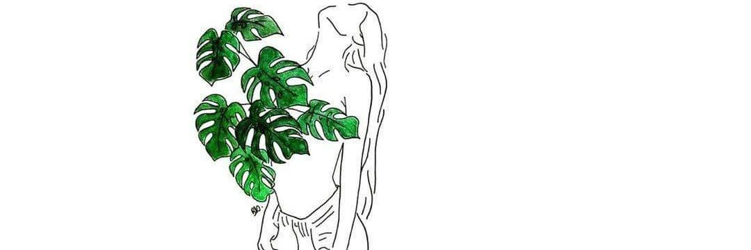 littlemackey's profile banner image
