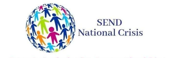 Roanna Âû SEND National Crisis banner