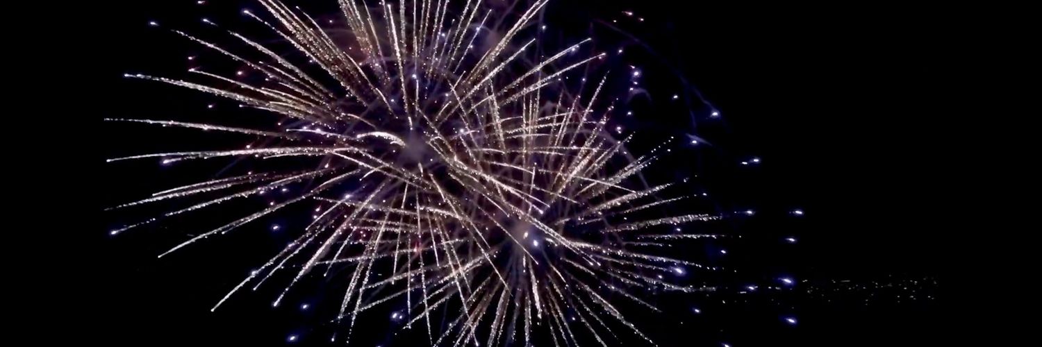 viva_t's profile banner image