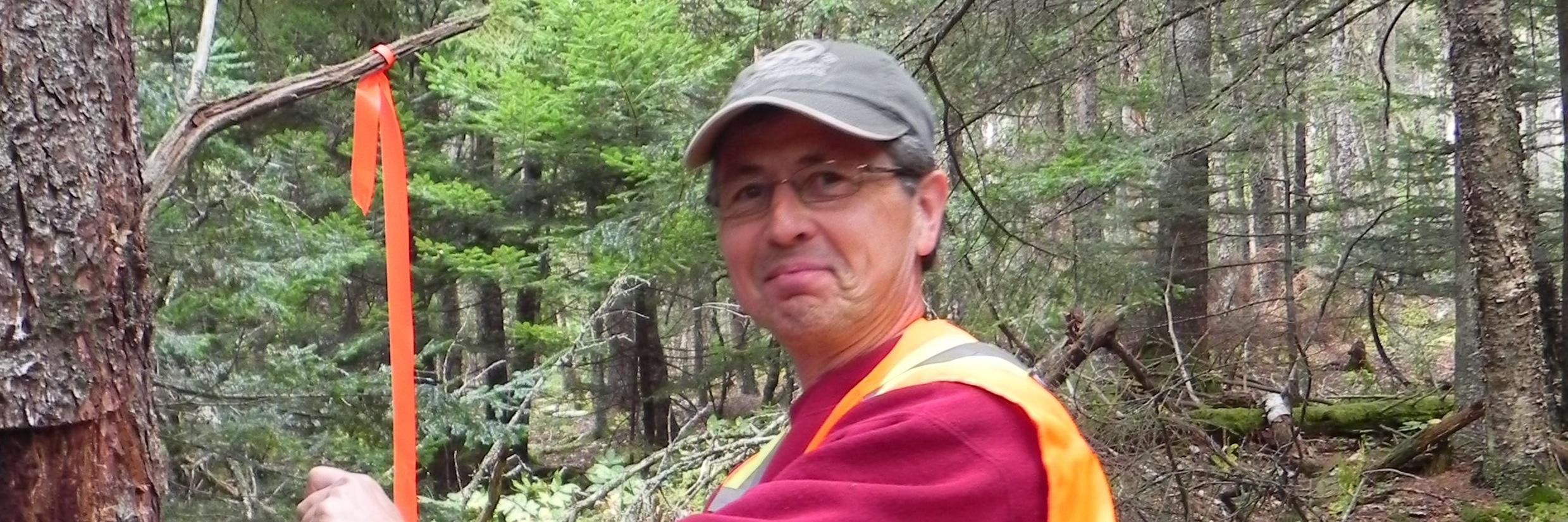 RobertBobLaval's profile banner image