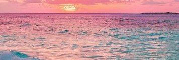 Dialogue81's profile banner image