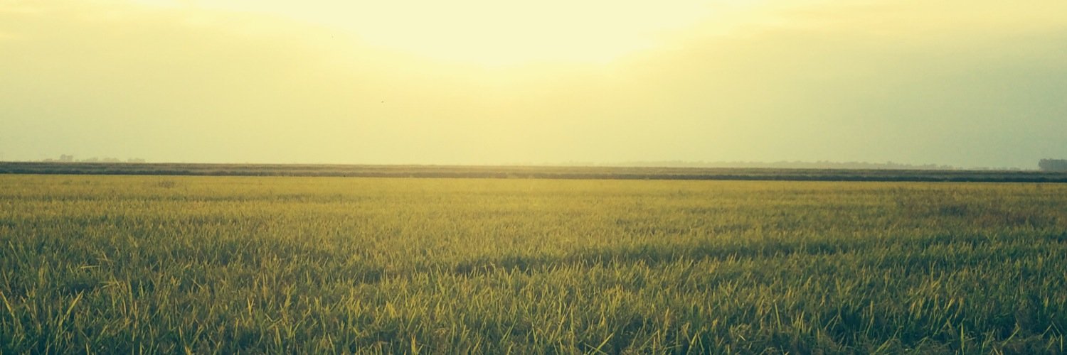 kyleday22's profile banner image