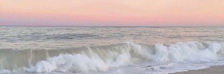 HalleyMoore__'s profile banner image