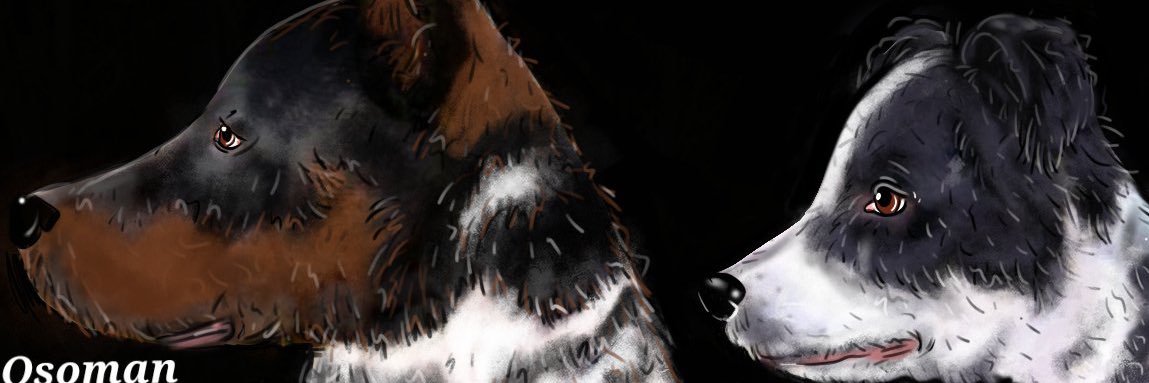 JosedaHandball's profile banner image