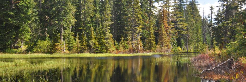 Skagit County DEM banner