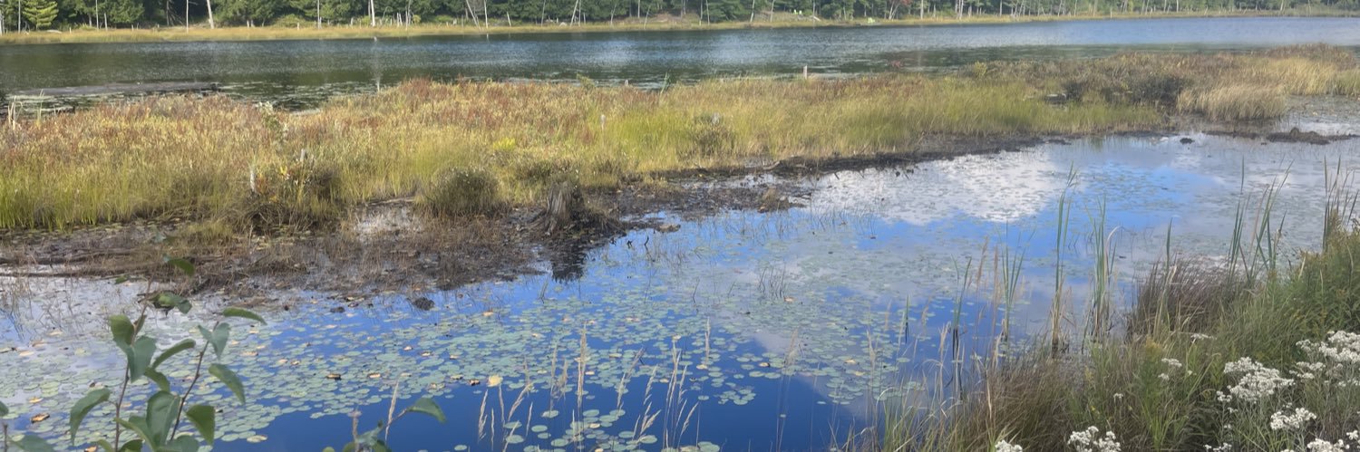 Sandra Morris 🇨🇦 banner