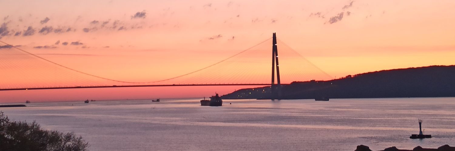 HAltansoy's profile banner image