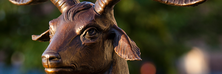 GGCatWPI's profile banner image