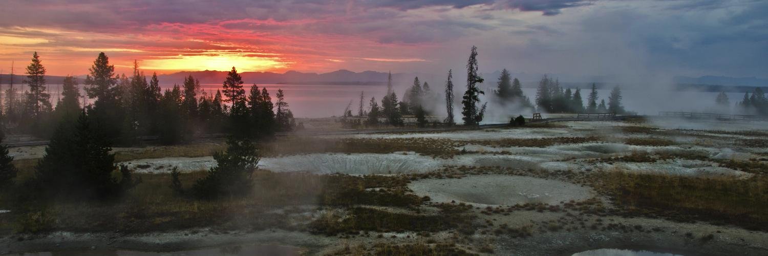 LesyaBudna's profile banner image