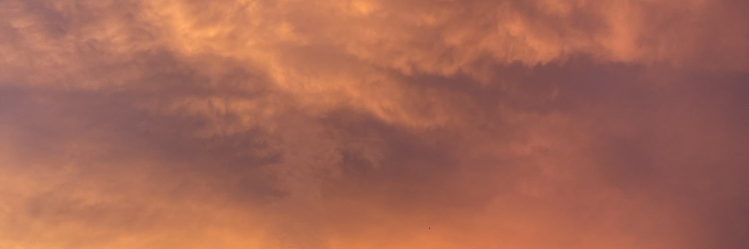 karpelea's profile banner image