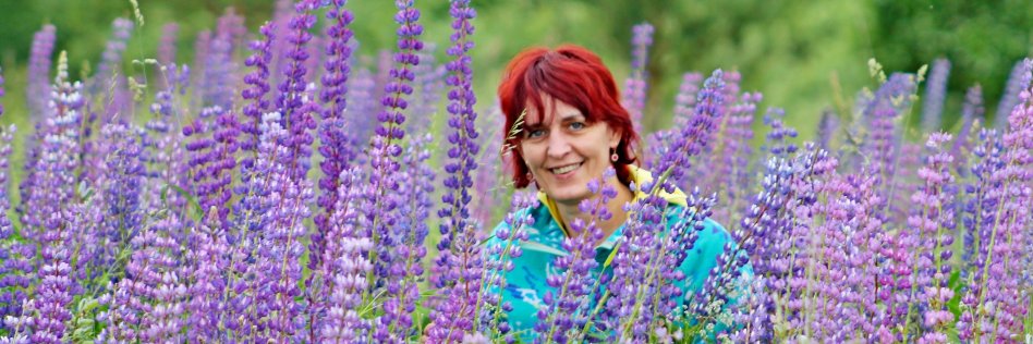 Lavanda_63's profile banner image