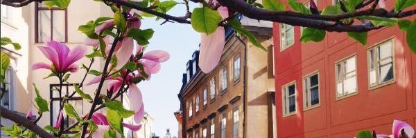 Fatimah_9's profile banner image