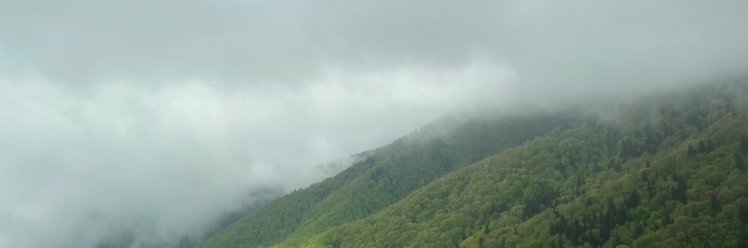 devvvcc's profile banner image
