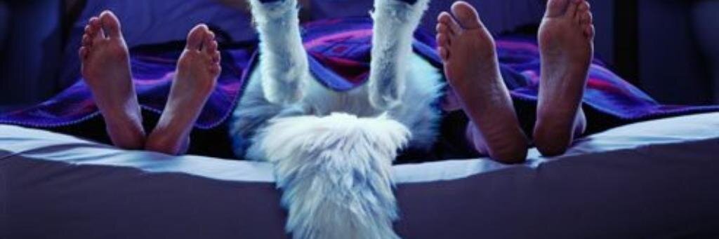 DosZiggster's profile banner image